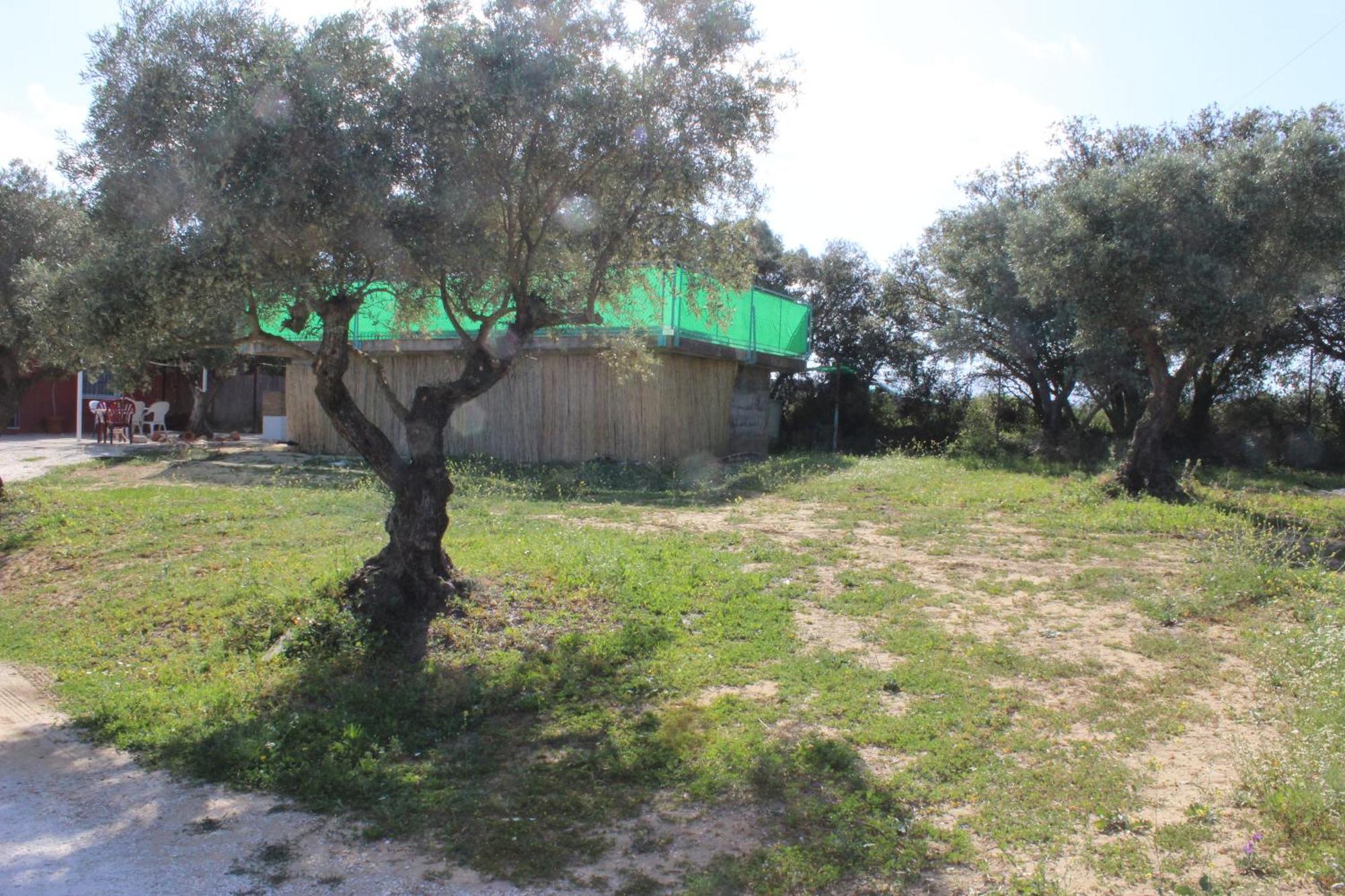 Casa De Campo En Coín Esterno foto